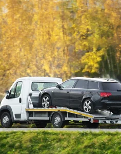 İstanbul - Aydın Şehirler Arası Çekici ve Profesyonel Araç Nakliyesi